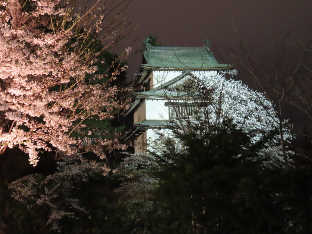 弘前城と夜桜
