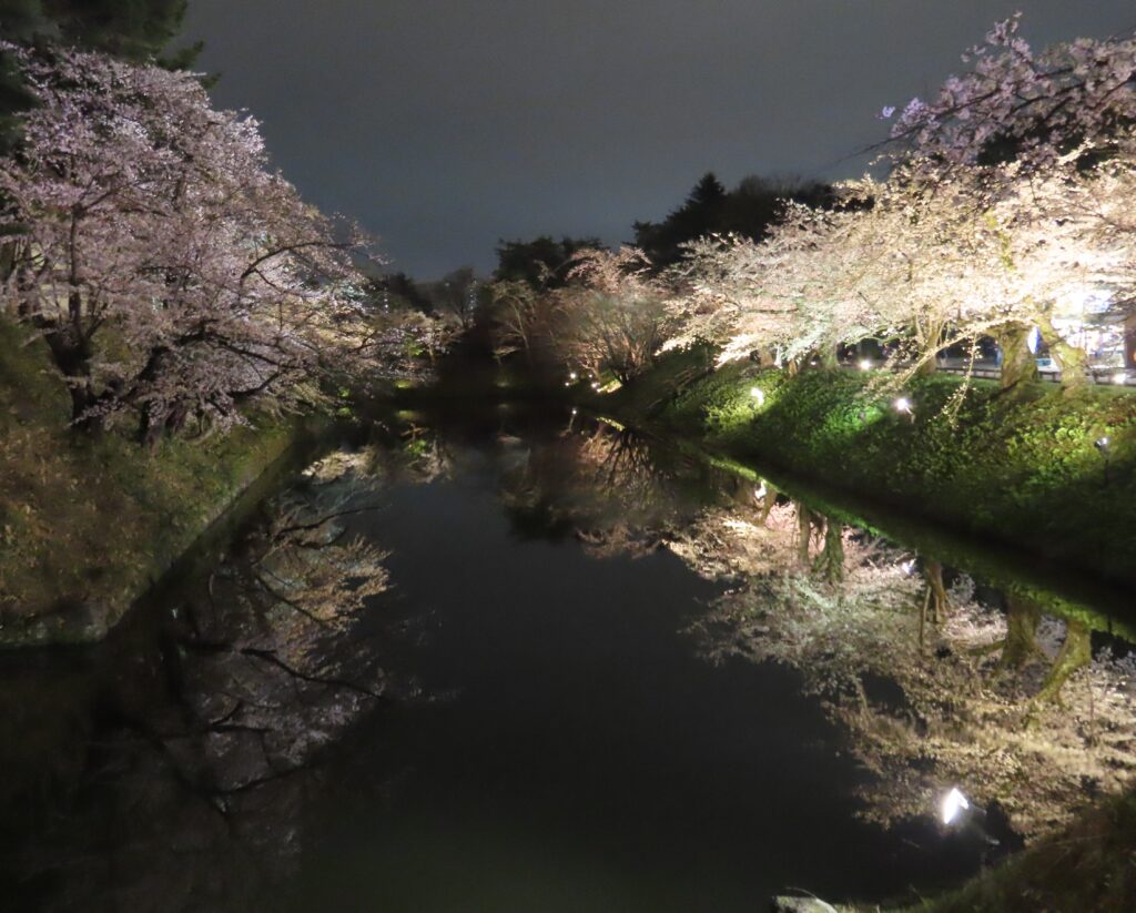 お堀に映る夜桜