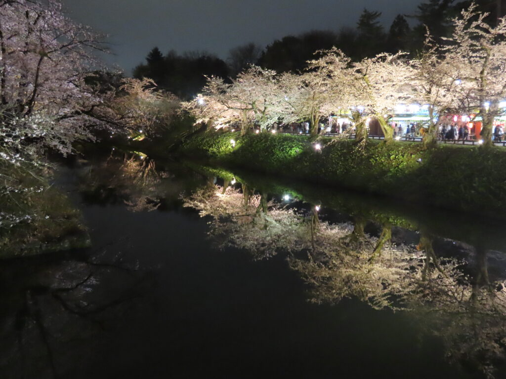 お堀と夜桜(2)